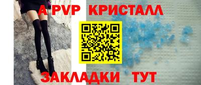 стаф Кандалакша