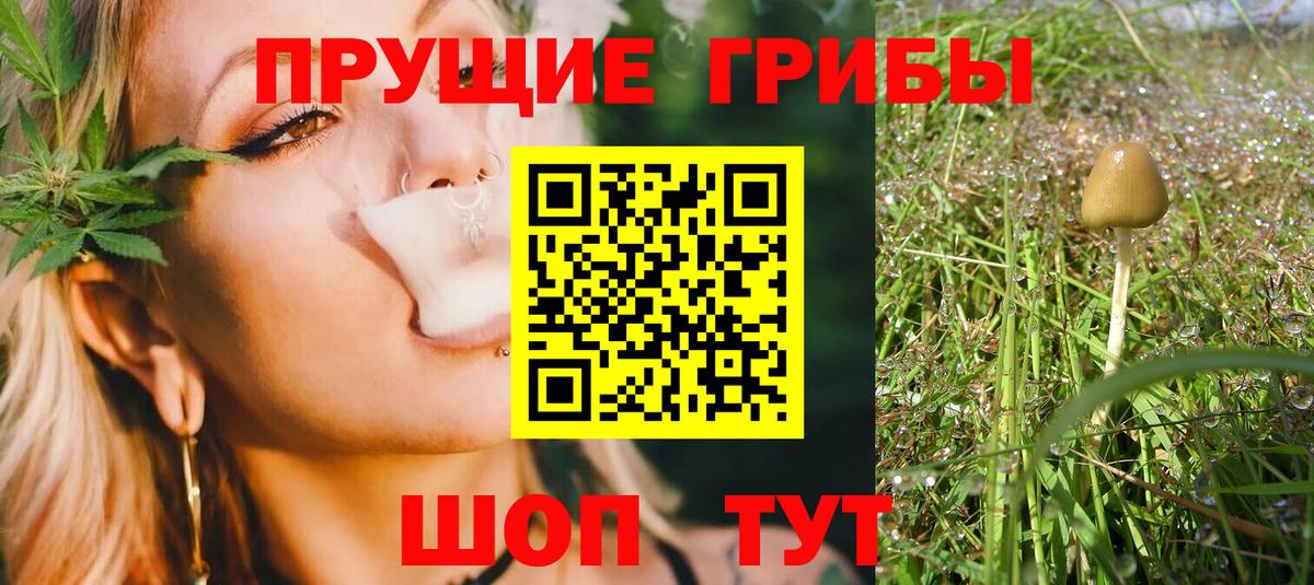 Галлюциногенные грибы Psilocybine cubensis  купить наркоту  Дюртюли  Вход с VPN  Псилоцибиновые грибы мухоморы 